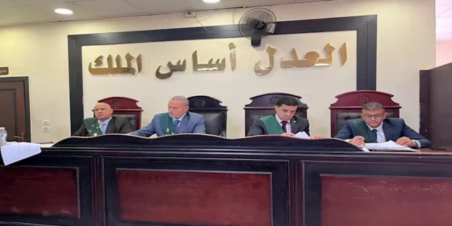 جنايات دمنهور تقضي بالمؤبد على متهم بالتعدي على فتاة من ذوي الهمم