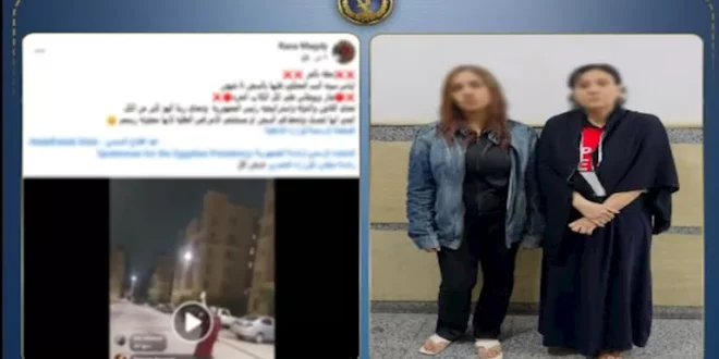 ربة منزل تنتقم من جارتها بمادة كيميائية بسبب إطعام الكلاب في أكتوبر