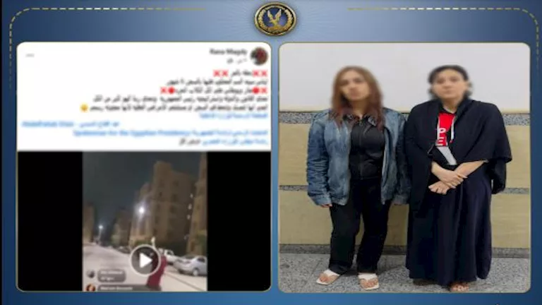 ربة منزل تنتقم من جارتها بمادة كيميائية بسبب إطعام الكلاب في أكتوبر