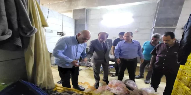 ضبط 10 أطنان لحوم فاسدة قبل بيعها في عيد الأضحى بالقليوبية