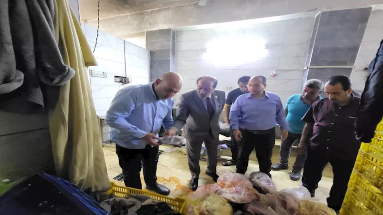 ضبط 10 أطنان لحوم فاسدة قبل بيعها في عيد الأضحى بالقليوبية