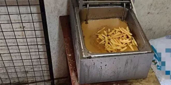 ضبط 27 طن بطاطس وزيوت فاسدة وخط إنتاج كامل بالمنوفية (صور)