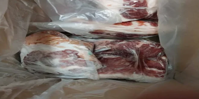 ضبط لحوم خنزير مجمدة فى بورسعيد