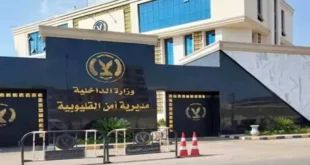 "طردنا بعد ما اتجوز".. التحقيق في فيديو اتهام 3 أطفال لوالدهم