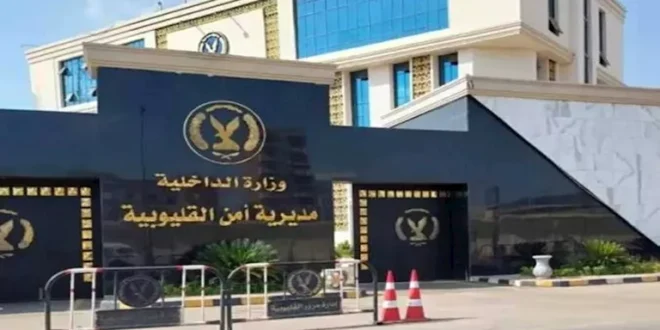 "طردنا بعد ما اتجوز".. التحقيق في فيديو اتهام 3 أطفال لوالدهم