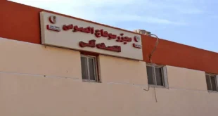 غرف عمليات وحملات.. خطة بيطري سوهاج لاستقبال عيد الأضحى