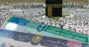 غرفة شركات السياحة تكشف تفاصيل ومواعيد موسم العمرة الجديد