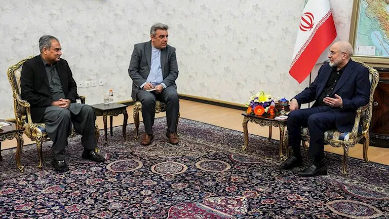 قاليباف يستقبل وزير الداخلية الباكستاني