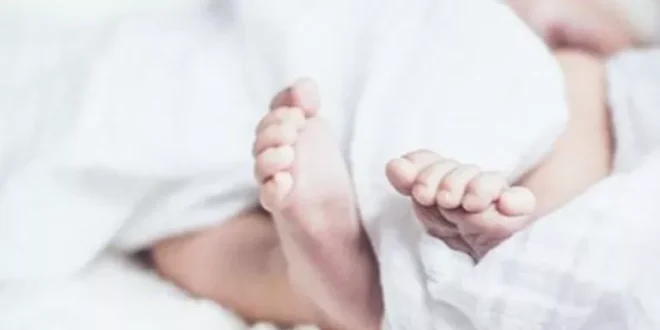 لغز جديد بالشرقية.. رضيع يواجه مصيرًا غامضًا وسط القمامة