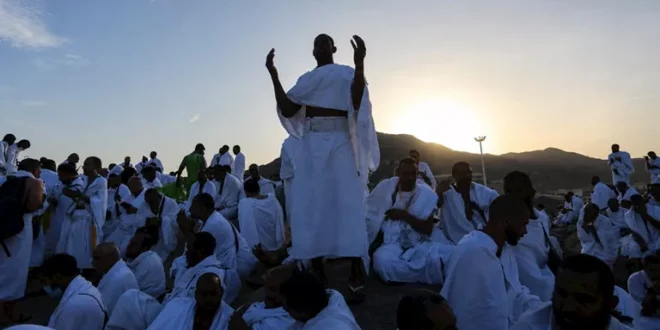 ما عدد الحجاج الذين أدوا فريضة الحج هذا العام؟