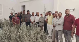 محافظ جنوب سيناء يستجيب لمتضرري الجمال بتجمع النهايات