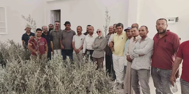 محافظ جنوب سيناء يستجيب لمتضرري الجمال بتجمع النهايات