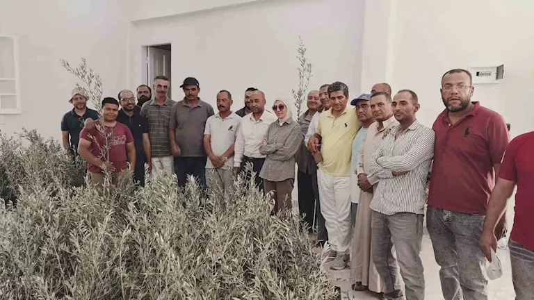 محافظ جنوب سيناء يستجيب لمتضرري الجمال بتجمع النهايات