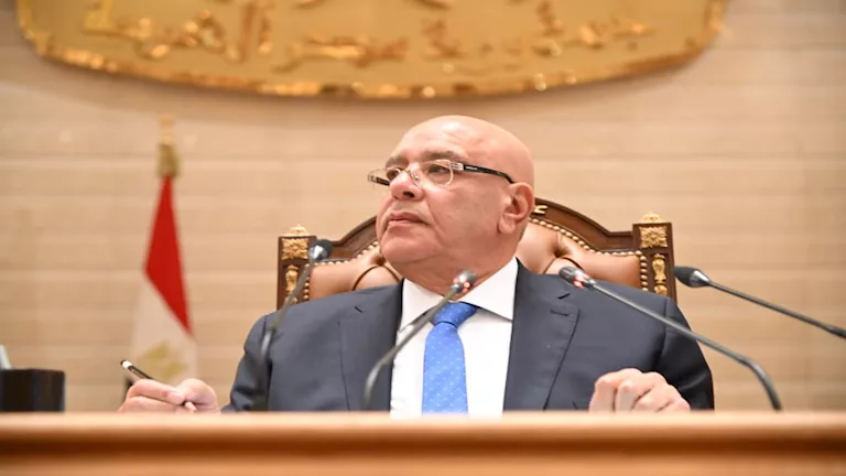 هشام بدوي يؤكد دعم مصر الكامل لاستقرار ليبيا ووحدتها