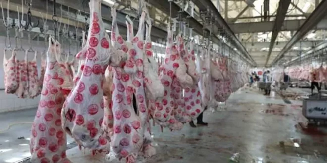 وزارة الزراعة ترفع درجة الاستعداد بجميع قطاعاتها خلال إجازة عيد الأضحى