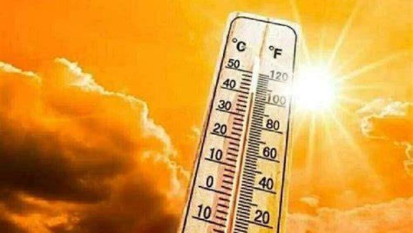 شبورة كثيفة ورياح محملة بالرمال على هذه المناطق | ضي النهار 1782091945 771 650765220752202606131231233123