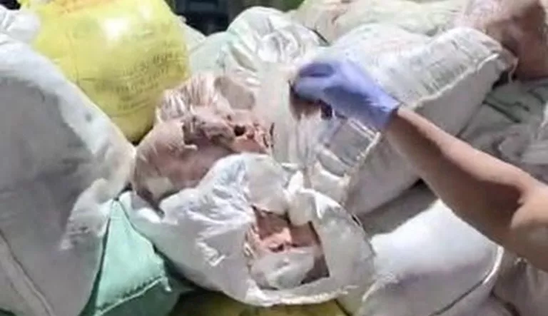 ضبط 1.7 طن لحوم فاسدة مجهولة المصدر بالفيوم | ضي النهار لحوم فاسدة