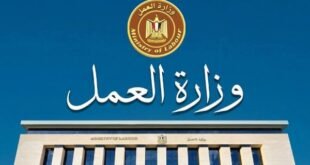 85 فرصة عمل بالإسماعيلية.. رابط للتقديم