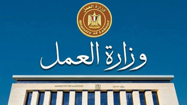 85 فرصة عمل بالإسماعيلية.. رابط للتقديم