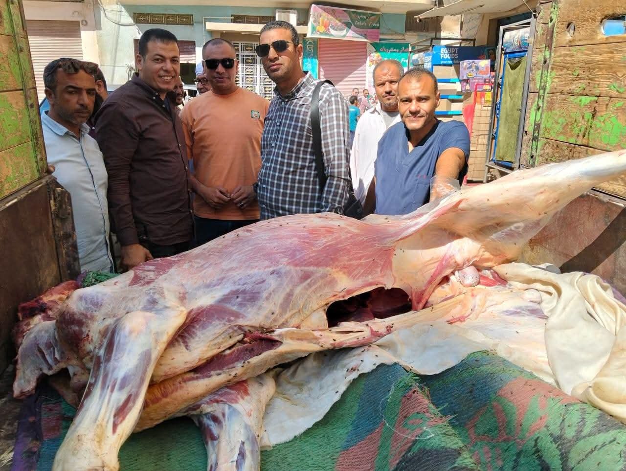 محافظ أسيوط: ضبط عجل مصاب باليرقان ومذبوح خارج المجزر قبل تداوله بالأسواق في منفلوط | ضي النهار FB IMG 1782566018008