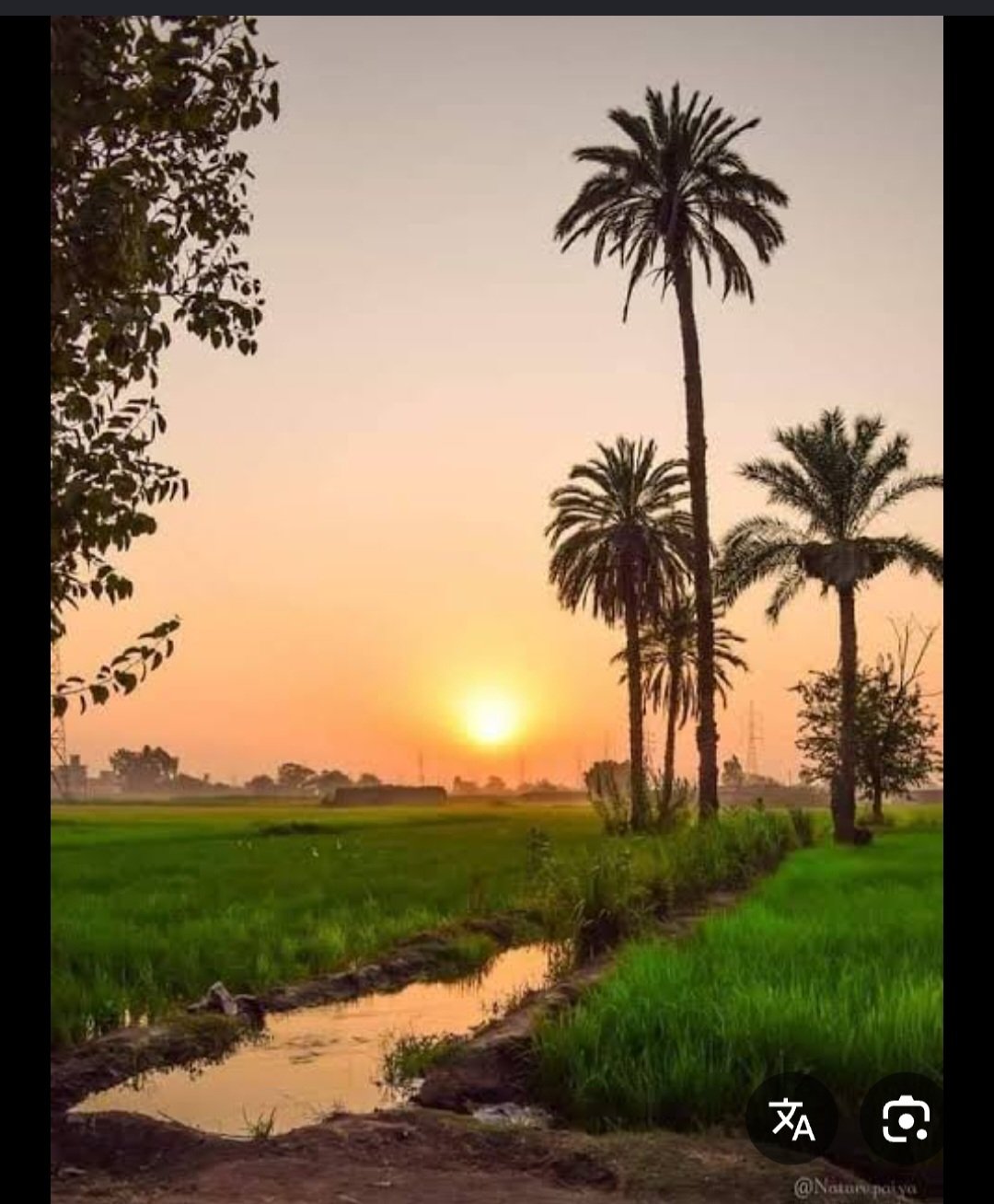 Screenshot ٢٠٢٦٠٦٠٢ ٠٤٣٦٢٥ Google
