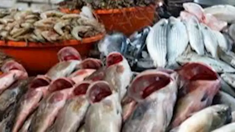 أسعار الأسماك والمأكولات البحرية في سوق العبور اليوم 18-6-2026