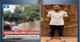 أمن القاهرة يضبط بطل فيديو "خناقة النزهة" بسبب الكلاب
