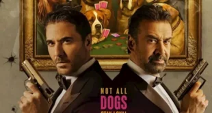 إيرادات الأربعاء.. فيلم الكراش الرابع وفيلم أسد يتفوق على "القصص" | ضي النهار إيرادات الأربعاء.. فيلم الكراش الرابع وفيلم أسد يتفوق على "القصص"