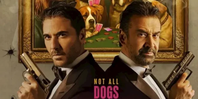 إيرادات الأربعاء.. فيلم الكراش الرابع وفيلم أسد يتفوق على "القصص" | ضي النهار إيرادات الأربعاء.. فيلم الكراش الرابع وفيلم أسد يتفوق على "القصص"