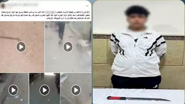 الأمن ينجح في كشف ملابسات فيديو تعد على سيدة والاستيلاء على حقيبتها