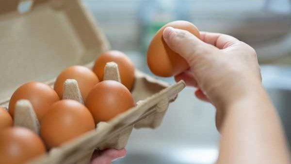 «البيض البودرة» يفتح بابًا جديدًا للعملة الصعبة.. والأردن أول المستوردين