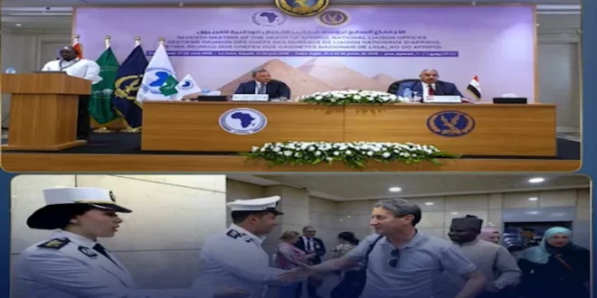 الداخلية تبحث مع 50 دولة أفريقية مواجهة الجرائم السيبرانية