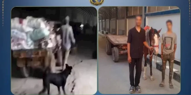 الداخلية تكشف ملابسات فيديو إلقاء المخلفات بعربة كارو في المرج