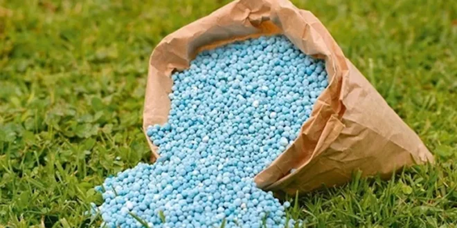 الزراعة تكشف قيمة دعم الأسمدة وأعداد المستفيدين وآليات ضبط السوق