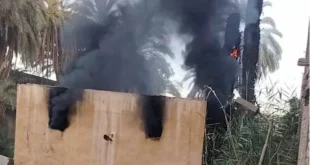 النيران تلتهم أشجار النخيل بعد انفجار محول كهرباء في إدفو (صور)