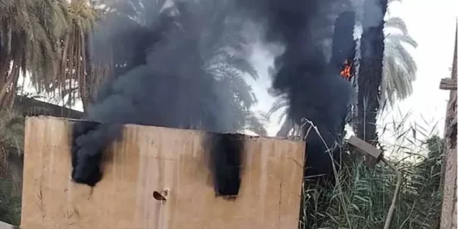 النيران تلتهم أشجار النخيل بعد انفجار محول كهرباء في إدفو (صور)