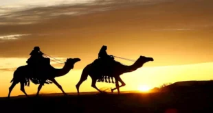 الهجرة النبوية ليست هروبًا.. عالم بالأوقاف: النبي تحرك لبناء مجتمع يحق