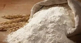 انخفاض أسعار الدقيق والمكرونة والدواجن اليوم 22-6-2026 في الأسواق