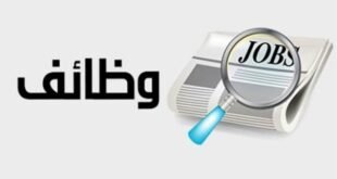 برواتب تصل لـ10 آلاف جنيه.. "وزارة العمل" تعلن عن 850 وظيفة جديدة بمزايا شاملة