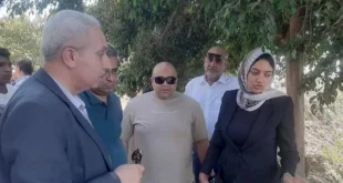 بعد فيديو أثار الجدل.. بدء تمشيط مصرف الحصافة بحثًا عن تمساح (صور)