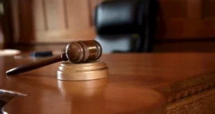 بينهم فتاتين.. السجن المشدد لعصابة سرقة الأطفال بالعجوزة