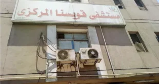 تفاصيل مصرع 3 من أسرة واحدة بالمنوفية