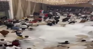 "حرب الشوم في طوخ".. إصابة 6 أشخاص في معركة بين الأهالي بالقليوبية