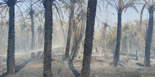 حريق داخل مزرعة سفير سابق بالشيخ زايد والحماية المدنية تتدخل