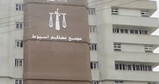 دفع حياته ثمنًا للزيجة الثانية.. كيف أنهت عبير وعشيقها حياة زوجها بأسي