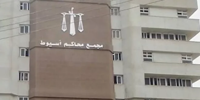 دفع حياته ثمنًا للزيجة الثانية.. كيف أنهت عبير وعشيقها حياة زوجها بأسي
