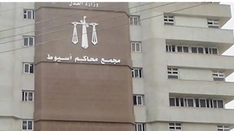 دفع حياته ثمنًا للزيجة الثانية.. كيف أنهت عبير وعشيقها حياة زوجها بأسي