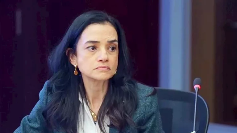 رئيس الوزراء يعين رحاب طه مساعدًا لرئيس الرقابة المالية