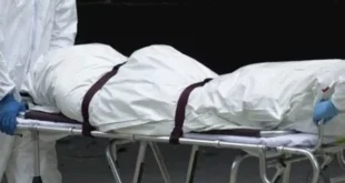 زواج عرفي وعلاقة بسيدة أخرى.. قصة مقتل سائق على يد موظف وابنته في السل