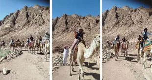 سحر الجبال وقدسية المكان.. سانت كاترين تواصل جذب السائحين (صور)
